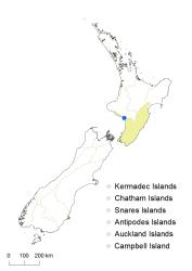 Nymphaea capensis distribution map based on databased records at AK, CHR & WELT.
 Image: K.Boardman © Landcare Research 2018 CC BY 4.0